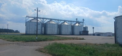 This is a wide shot of an industrial agricultural facility located in Гервяцкі сельскі Савет, Belarus. The primary focus is a row of four large, silver grain silos, connected by a metal walkway and conveyor system. In front of the silos, a paved area transitions into a gravel section, then a grassy field. To the right of the silos, there are several smaller industrial buildings and a water tower. A dense line of trees forms the backdrop behind a fence to the left. The sky is a bright blue with scattered, fluffy white clouds. There are no people visible in the image.