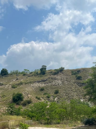 The image displays a natural landscape under a partly cloudy, blue sky. The scene is dominated by a steep hillside or cliff covered in rocky terrain and sparse vegetation, primarily dry grasses and small, scattered green bushes and trees. The sky, visible on the left side of the image, features bright white cumulus clouds against a clear blue background, indicating daytime with good sunlight.
In the midground and foreground on the right, a denser growth of green trees and foliage is present, appearing more verdant than the vegetation higher up the slope. A light-colored, possibly metal, fence or railing is visible in the lower right corner, suggesting a boundary or a pathway alongside the natural feature. The ground immediately adjacent to the fence appears to be a flatter, grassy or dirt strip.
No people or animals are visible, and no specific activity is taking place; the image captures a static natural view. The bright lighting suggests it is late morning or early afternoon. The rocky, sparsely vegetated hill, coupled with the lush patches of trees, evokes a Mediterranean or continental climate characteristic of regions like Beloslav, Bulgaria, possibly depicting a natural formation or the edge of a quarry area. There is no visible text in the image.