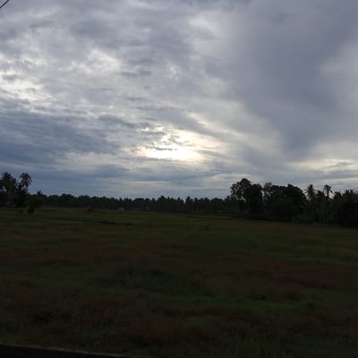 The image depicts an overcast sky over a rural landscape. A field of dark green and brown grass occupies the foreground, stretching towards a treeline in the midground. The treeline is densely populated with various trees, including palm trees, and appears to be on the edge of a settlement. Several small buildings are visible within or near the treeline, including a red-roofed structure. The sky is filled with dramatic, gray clouds, with a bright patch of sunlight breaking through towards the center-left. The scene appears to be a view of Buketteukuh, Indonesia.