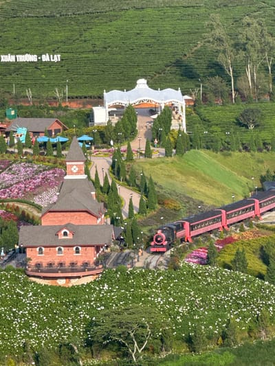 The image depicts a scenic view of a tourist attraction in a hilly, green landscape, likely a tea plantation based on the terraced rows. In the foreground, a large hill is covered in a dense layer of small white flowers, with a few scattered trees. Behind this, a red brick building with a tall, pointed tower stands prominently, featuring arched windows and a balcony area with tables and chairs. A miniature train with a black engine and pink carriages is positioned on tracks winding through the landscape, passing by colorful flower beds in hues of pink and red, interspersed with evergreen trees.

Further up the hill, a white, gazebo-like structure with a peaked roof is visible, situated on a paved path. Several smaller buildings, including a red-roofed structure with blue umbrellas outside, are also present. In the background, the extensive, green tea plantation covers the undulating hillsides. A large white sign with dark lettering reads "XUÂN TRƯỜNG - ĐÀ LẠT," indicating the location as Xuan Truong, Dalat. The scene appears to be bathed in natural light, suggesting it was taken during daytime. There are no visible people actively engaged in interactions in this detailed overview, although several figures are present in the distance near the buildings and pathways, appearing to be visitors. The overall environment is lush, well-maintained, and designed for tourism.