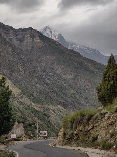 The image depicts a winding asphalt road cutting through a mountainous landscape, likely in the vicinity of Kardang, India. The road curves from the lower left towards the right of the frame. On the left side of the road, a tall, dark green tree stands partially in view. Further down the road, two white signs are visible: one is partially obscured by a flag and reads "THANKS HOTEL SNOWLAND", and the other is a rectangular billboard with several people in traditional attire.

The dominant feature of the scene is the imposing mountain range that fills the background. The mountains are characterized by steep, rocky slopes covered with sparse vegetation. Some of the higher peaks in the distance are capped with snow, contrasting with the verdant green and brown hues of the lower slopes. The sky is overcast with heavy gray clouds, contributing to a muted and dramatic atmosphere. A tall, slender evergreen tree is prominent on the right side of the road, its branches extending upwards and silhouetted against the cloudy sky. The ground alongside the road is rocky and uneven, with patches of dry grass and smaller green shrubs.