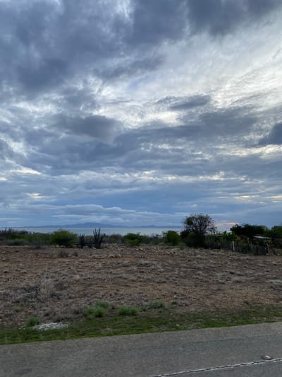 The image depicts a landscape scene at dusk in La Guaira, Venezuela. The sky is filled with dramatic, layered clouds, with lighter patches suggesting the setting sun. In the foreground, a dry, barren landscape is visible, with sparse brown vegetation and scattered cacti. A line of green bushes and trees marks the transition to the background, where a body of water, likely the Caribbean Sea, stretches to the horizon. Distant mountains are faintly visible on the opposite shore. A paved surface, possibly a road or sidewalk, occupies the bottom edge of the frame. The overall impression is one of a rugged, coastal environment under an overcast sky.