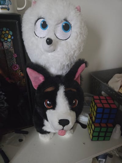 This image depicts a close-up, eye-level view of two plush toys situated on a white surface, likely a shelf or desk. The upper toy is a large, white, fluffy stuffed animal with large blue eyes outlined in black, and a black nose. Below it rests a smaller stuffed dog, predominantly black and white, with pink ears, brown eyes, and its pink tongue sticking out. To the right of the dog, there are two stacked Rubik's cubes, the top one displaying red and yellow faces, and the bottom one showing yellow and green faces. A dark grey basket is partially visible behind the Rubik's cubes, containing some light-colored fabric. To the left of the white plush toy, a black object with colorful floral patterns is visible, possibly a decorative box or book. The overall environment appears to be an indoor setting, with a plain wall in the background. There are no people or explicit actions taking place. The image composition suggests a still-life arrangement of these toys and objects. This scene is not located in Santa Monica, United States of America.