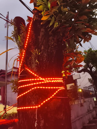 The image displays a large tree trunk adorned with multiple strands of bright red LED strip lights, creating a festive illumination. The lights are wrapped horizontally and diagonally around the dark, textured bark of the tree. Green foliage, including various leaves and epiphytes, grows on the tree, with some leaves catching the red glow.
The scene appears to be set outdoors in Cibinong, Indonesia, during twilight or evening hours, given the muted gray sky and the prominence of the artificial lights. In the background on the left, a flagpole is visible, flying a red and white flag that strongly resembles the Indonesian national flag. A building with a reddish roof and light-colored walls can be seen behind the flagpole.
Further to the right in the background, other trees and structures, possibly residential or commercial buildings, are visible, along with the soft yellow-orange glow of a distant streetlight. A small, white, irregularly shaped object hangs from one of the red light strips near the bottom right of the tree. The overall impression is one of decoration or celebration, potentially for a national event such as Indonesia's Independence Day, where the red and white colors are symbolic. There is no visible text in the image.