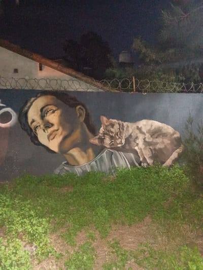 The image shows a street art mural on a wall in El Talar, Argentina (latitude: -34.472, longitude: -58.64). The mural depicts a woman with a cat resting on her shoulder. The woman is smiling, and her eyes are closed. The cat is looking towards the right of the frame. The mural is painted in shades of grey, brown, and white. The wall is covered in vines on the right side of the frame. The background is a blurred image of a fence and greenery. The mural is a stylized image of a woman and her cat. It is not possible to tell if this is a real person or a fictional character.