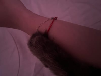 A close-up, dimly lit shot focuses on a person's forearm with a bracelet. The bracelet features a delicate silver chain connected to a twisted red string, secured by a small, silver clasp. Partially obscuring the lower portion of the arm and bracelet is a furry, dark brown object that appears to be an animal's tail, likely belonging to a cat, based on the texture and color. The background consists of a soft, white, textured surface, possibly bedding, illuminated by a pinkish light that casts a warm, diffused glow over the scene. There is no identifiable context suggesting a location in Tikhoretsk, Russia.