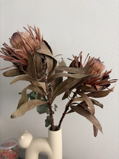 A close-up shot reveals two dried protea flowers, their petals a faded pink and brown, nestled among brittle, dry leaves in shades of brown and tan. A few green eucalyptus leaves are also visible. The flowers and leaves are arranged in a white, abstract-shaped vase. The background is a textured white wall. To the right of the vase, a white figurine of a cat is visible, along with a clear plastic container filled with colorful candies. The location is Yanino-1, Russia.