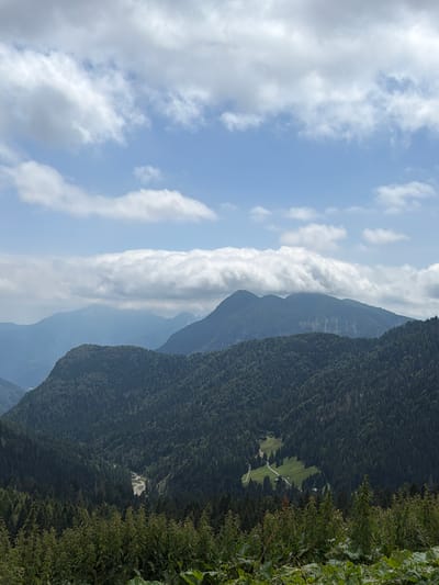 The image captures a panoramic view of a mountainous landscape in Ampezzo / Dimpeç, Italy, on a bright, cloudy day. The foreground is dominated by lush, green vegetation, with large leaves and tall, slender plants. This vegetation forms a dense border across the bottom of the frame.
The middle ground features a vast expanse of dark green, densely packed conifer forests covering rolling hills and steep mountain slopes. A winding road is visible cutting through a small, bright green meadow nestled within the trees, with a few small structures or buildings dotting the meadow. A narrow, light-colored river or stream meanders through the valley floor amidst the dense forest.
The background consists of layered mountain ranges that fade into a hazy blue due to atmospheric perspective. The peaks of the furthest mountains are partially obscured by a thick, undulating band of white clouds that stretches horizontally across the image, appearing to sit on the mountain ridge. Above this cloud band, the sky is a clear, pale blue, dotted with scattered, fluffy white clouds. The overall impression is one of a serene and natural alpine environment.