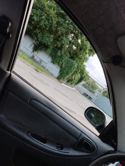The image depicts a view from inside a car, looking out the passenger side window and door. The interior of the car is visible, including the door panel with an armrest, door handle, and window controls. Outside the car, a grey concrete wall covered in lush green ivy runs along a paved road. A tall tree with dense foliage stands to the left of the wall, its branches extending upwards. Further down the road, a grey metal fence and a gate can be seen, possibly marking an entrance to a facility. The sky is overcast with some white clouds. The overall scene suggests a location within an urban or semi-urban environment, possibly Taganrog City District, Russia, given the context.