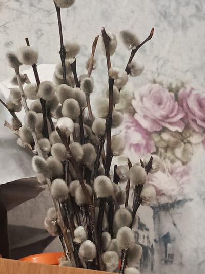 The image shows a close-up of a bouquet of pussy willow branches. The branches are dark brown and slender, with soft, fuzzy buds clustered along their length. The buds are light gray to white and have a rounded, oval shape. The background is a blurry depiction of what appears to be wallpaper with a floral pattern, featuring soft pink roses and muted green foliage. The lighting is diffused, casting soft shadows. There are no people visible in the image. The scene does not provide any information about the city of Meget, Russia.