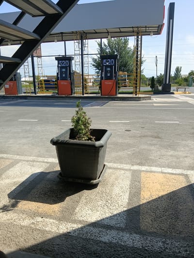 This is a medium shot, taken at eye level, of a small, potted evergreen tree in the foreground, with a gas station in the background. The tree is in a square, dark grey plastic planter with a matching saucer, placed on a paved area with yellow and white markings. The gas station has two orange fuel pumps visible, each with a digital display showing "520". One pump has a hose hanging down. The pumps are under a covered structure supported by metal beams. In the background, trees and power lines are visible against a clear blue sky. The scene appears to be in Sayat Nova, Armenia.