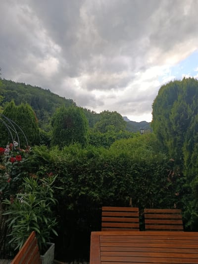 The image depicts an outdoor seating area in a garden, with a view of a forested hillside and mountains under a cloudy sky. In the foreground, a wooden table with slatted surfaces is visible, along with two wooden bench backs. To the left, a rose bush with red flowers and green foliage is present, along with a potted plant with long, slender leaves. Several evergreen trees, including two large cypress-like trees, dominate the midground, forming a dense hedge. The background features a lush green hillside covered in trees, leading up to distant mountains partially obscured by clouds. A single lamppost can be seen peeking through the foliage in the middle distance. The scene is characteristic of a garden setting in Hallein, Austria, likely a private residence or a guesthouse, given the manicured landscaping and the view of the surrounding natural landscape. The time of day appears to be late afternoon or early evening, with the overcast sky suggesting impending or recent rain.