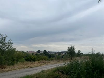 The image depicts an overcast sky with scattered clouds. In the middle ground, a range of industrial buildings with red trim and tall smokestacks are visible, situated behind a line of trees. The foreground shows a dirt road curving to the left, bordered by dry grass and various green bushes and trees. To the left of the road, a mature tree with dense foliage stands out. The scene appears to be in a rural or semi-industrial area, possibly on the outskirts of Кенен Әзірбаев ауылы, Kazakhstan, given the context. No people or animals are discernible in the image.