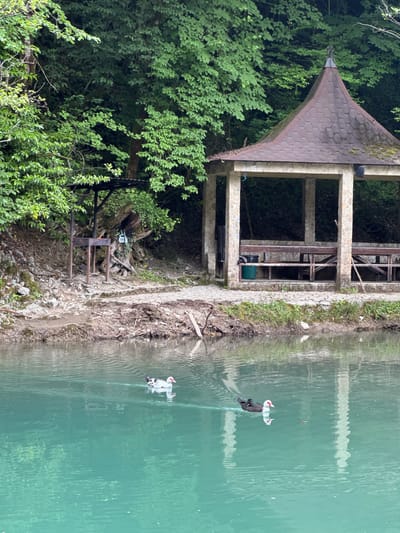 In the city of Khleborob, Russia, a tranquil scene unfolds by a body of clear, turquoise water. The foreground features two ducks swimming gracefully on the water's surface. One duck, to the left, displays predominantly white plumage with black markings and a red patch around its eye. The second duck, to the right, exhibits dark feathers with white on its chest and a similar red facial marking.

The backdrop is a lush, green forest, with dense foliage creating a natural canopy. Along the shoreline, a stone-built gazebo with a conical, shingled roof provides a sheltered area. Inside the gazebo, wooden benches and tables are visible, suggesting a recreational space. Adjacent to the gazebo and closer to the water, a metal barbecue grill stands ready for use, with a small fire burning within it. The ground around the grill and gazebo is a mix of dirt, exposed roots, and scattered debris. A paved pathway leads from the barbecue area towards the gazebo. The overall atmosphere is one of natural beauty and a peaceful, rustic setting.