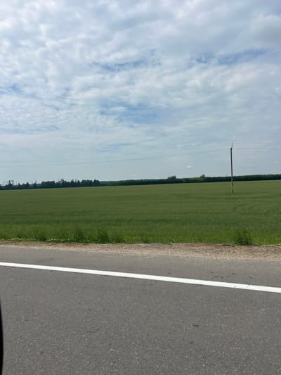 An eye-level, medium shot captures a rural roadside scene with a vast, green field stretching towards a distant tree line under a partly cloudy sky. In the foreground, a section of asphalt road with a white lane marker is visible. The field, likely agricultural, is uniformly green and appears to be planted with a low-lying crop. A solitary wooden utility pole stands in the middle ground of the field, with power lines extending horizontally across the frame. The horizon is marked by a dense line of trees, and the sky above is filled with scattered white and gray clouds. The overall impression is one of open, agricultural landscape.