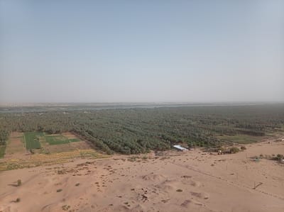 This aerial photograph presents a vast and contrasting landscape near Dongola, Sudan, showcasing the stark transition from arid desert to a fertile riverine oasis. The scene is dominated by a clear, pale blue sky with a hazy horizon, suggesting a bright, warm day.
In the foreground, a sandy desert stretches across the lower half of the image. It features undulating terrain with sparse, low-lying scrub vegetation and scattered rocks. Visible within this desert landscape are utility poles and power lines, indicating infrastructure. On the right, a cluster of simple buildings includes one with a distinctive light blue dome, while further to the left, what appears to be ancient mudbrick foundations or ruins are embedded in the sand, hinting at historical habitation.
The midground marks a dramatic shift to lush greenery. Extensive, rectangular agricultural fields are cultivated with varying shades of green crops and some patches of dried, lighter-colored vegetation, signifying active farming. These fields are bordered by a dense and expansive palm grove, likely composed of date palms, which forms a thick, verdant band stretching across the image. Several modest buildings are nestled within or alongside these green areas.
In the background, a wide body of water, consistent with a major river, flows through the landscape, acting as the lifeblood of the oasis. On the far bank of the river, a distant town or settlement is discernible, blending with the hazy horizon.
The image vividly portrays the essential role of the river in sustaining agriculture and human settlement within an otherwise arid desert region. There is no visible text in the photograph.
