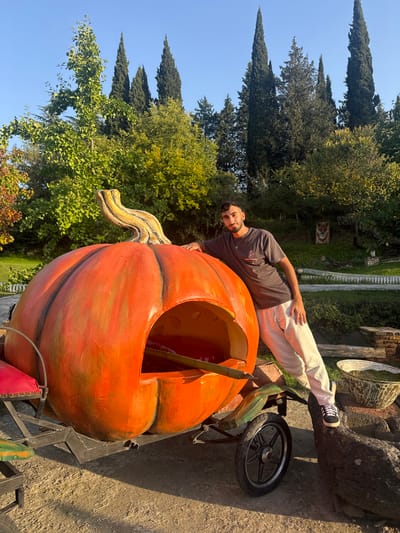 An outdoor, sunlit scene in Tsinandali, Georgia, features a young adult male posing next to a large, orange, pumpkin-shaped prop mounted on a wheeled cart. The male, with dark hair and a beard, wears a dark grey t-shirt, light-colored pants, and dark sneakers. He leans his left arm on the top of the pumpkin and rests his right foot on a dark rock formation to his right, looking directly at the camera with a slight smile. The oversized pumpkin prop features a yellow-orange stem and an open side, revealing a hollow interior with a long wooden pole inside. The cart has a visible black wheel on the right and a red-cushioned seat on the left. The ground is a light brown, unpaved surface. The background is lush with green foliage, featuring several tall, slender, dark green coniferous trees and lighter green deciduous trees under a clear blue sky. A white picket fence is partially visible on the left. To the far right, behind the man, are additional dark rock formations and a wide, bowl-shaped planter containing green vegetation. A patterned textile is visible hanging in the distant midground.
