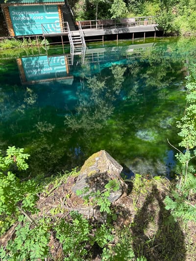 This media file captures a scenic view of the Golubye Ozera (Blue Lakes) in Sdt Shcherbakovka, Russia. The image is oriented vertically, with the lake dominating the frame. The water is a striking emerald green, reflecting the surrounding foliage and the blue sky, creating a serene and natural atmosphere.

On the left side of the lake, a wooden structure with white railings and a canopy is visible, seemingly a viewing platform or a part of an eco-station. A large teal sign with white text is attached to this structure. The text, in Russian, reads: "Eco-station Golubye Ozera. The place is intended for scientific research and purification of the Golubye Ozera." Below this, in smaller text, it elaborates on its purpose. The Russian text is mirrored on the sign, indicating a reflection.

The lake is bordered by lush green trees and vegetation. A prominent, rough-hewn tree stump with moss is positioned in the lower right of the frame, adding a rustic element to the scene. Sunlight dapples through the leaves, casting shadows on the ground and the water, suggesting it's a clear, sunny day. The overall impression is one of natural beauty and a place dedicated to conservation and scientific study. No people are visible in the image.