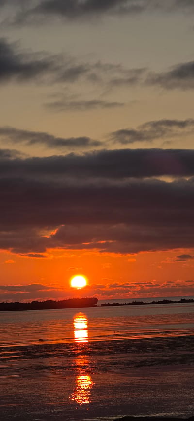 A sunset over the sea is captured in this vertical, close-up, eye-level shot. The sun, a bright white orb, is low on the horizon, partially obscured by clouds, casting an orange glow across the sky and reflecting on the water. A dark, silhouetted shoreline is visible in the distance, with a line of what appear to be sunken ships or debris. Numerous small, dark birds are perched on the silhouetted structures. The water in the foreground is calm, with a shimmering reflection of the sun. The sky is a gradient of orange and yellow near the horizon, transitioning to grayer, darker clouds higher up. The image appears to be taken in Nevel'sk, Russia, a port city known for its connection to the sea.