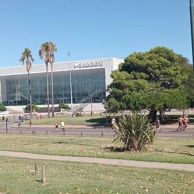 The scene depicts the Antel Arena in Montevideo, Uruguay, under a clear blue sky. The Antel Arena, a large, modern, light grey building with an extensive glass facade, dominates the mid-ground. The word "Antelarena" is displayed in white lettering on its upper section. Two tall palm trees stand directly in front of the arena's glass entrance.

The foreground consists of a grassy expanse with scattered dry leaves and visible dirt patches. A paved road separates this foreground from the arena complex. Wooden bollards line the edge of the road in multiple sections. Various trees and bushes are present, including a large, dense green tree on the right side of the frame and a prominent spiky bush in the immediate right foreground.

Approximately 15-20 individuals are visible, primarily engaged in running or jogging. They are distributed across the grassy areas and on the paved road. Most are wearing athletic attire, including shorts, t-shirts, and tank tops. One individual in a bright green top and dark shorts runs on the road towards the left. A group of three individuals, two of whom are shirtless, jogs on the far right side of the road, moving towards the right. Other people are visible jogging in the distance near the arena's steps and on the surrounding grass. The overall environment suggests a public park or recreational area.