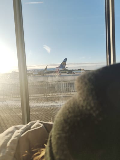 The image depicts an outdoor airport tarmac scene viewed from inside a building, likely a terminal, at Frankfurt-Hahn Airport in Lautzenhausen, Germany. The sky is clear blue with minimal scattered white clouds and a high-altitude contrail. Intense sunlight emanates from the left, creating significant glare on the window.
A white and blue Ryanair Boeing 737 aircraft, bearing the registration "EI-EBJ" on its fuselage, is parked on the paved tarmac. The aircraft's fuselage features "RYANAIR" in blue lettering, and its tail fin displays the airline's blue, white, and yellow logo. A mobile set of passenger stairs is connected to the aircraft's mid-aft door. Additional ground support equipment, including what appears to be a tanker truck, is visible beyond the aircraft's wing.
The tarmac ground surface is patterned, suggesting paving stones or asphalt, and shows patches of white material consistent with snow or frost. Grey metal crowd control barriers are horizontally arranged across the tarmac between the viewing window and the aircraft.
The foreground includes elements from the viewer's immediate surroundings: a blurry, dark, rounded object in the lower right quadrant, consistent with a person's shoulder and head. In the lower left, a folded beige garment and strands of brown hair are visible. A light-colored vertical window mullion extends from the top to the bottom of the frame on the left side, partially bisecting the view. Distant trees are visible on the horizon beyond the tarmac.