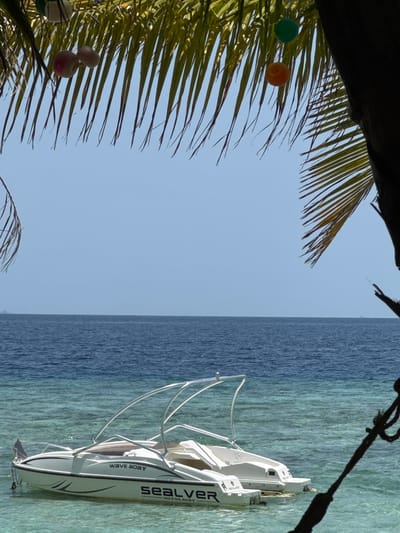 The image captures a scene in Ukulhas, Maldives. A white "Sealver Wave Boat" with a silver frame floats on turquoise and dark blue water. The sky is clear and blue. A palm tree overhangs the scene from the left, adorned with colorful round decorations. A dark rope is visible in the upper right corner.