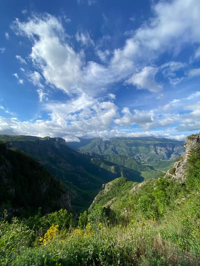 The image shows a landscape view, likely taken from a high vantage point in or near Aranđelovo, Bosnia and Herzegovina. The sky occupies the left side of the frame, displaying a bright blue expanse interspersed with puffy white clouds. The right side of the image showcases a steep, green mountainside covered in grass, shrubs, and some small yellow wildflowers near the edge. Beyond the edge, a deep valley stretches into the distance, revealing a series of green mountains and ridges under a cloudy sky. No people are visible in the image. The environment is natural, emphasizing the rugged terrain and lush vegetation.