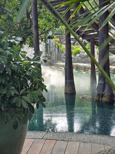 This image captures a serene scene at a natural hot spring in the Xiaoshan District of China. In the foreground, a large green potted plant with lush foliage partially obscures the view, adding a touch of natural beauty to the setting. A wooden deck runs along the bottom of the frame, leading the eye towards the main attraction.
The focal point of the image is a tranquil pool of turquoise water, with several large, rough-hewn rocks emerging from its surface. Wisps of steam rise gently from the water, creating an ethereal atmosphere and suggesting the warmth of the springs. Four thick, dark tree trunks rise vertically from the water, their bases submerged, adding a dramatic and natural element to the scene. These trees appear to be part of a larger wooden structure overhead, with visible beams and roofing, hinting at a covered resting or viewing area.
In the background, a rocky waterfall cascades down a stone wall, its water feeding into the main pool. Beyond the pool, lush green vegetation and more rocky structures are visible, contributing to the natural and somewhat rugged environment. A few people can be seen in the distance, casually dressed and enjoying the surroundings. One individual, wearing a light-colored dress, stands near the edge of the pool. The overall impression is one of a peaceful and natural escape, likely a popular spot for relaxation and rejuvenation.