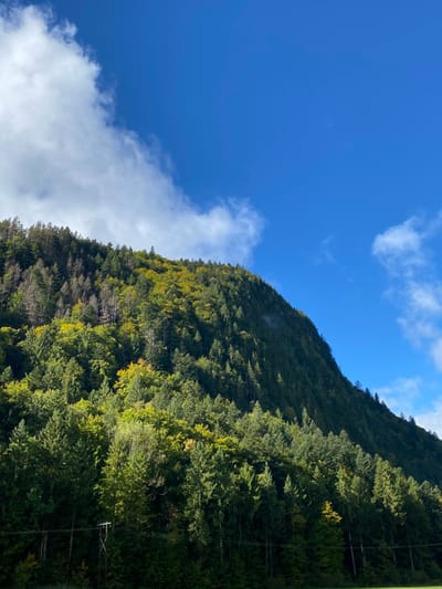 This image depicts a densely forested mountain slope under a partly cloudy blue sky, located in the city of Abondance, France. The mountain, rising from the lower edge and dominating the frame, is covered primarily with coniferous and deciduous trees exhibiting various shades of green. Patches of yellowish-green foliage are visible, particularly in the upper-left and central areas, indicating early autumn color changes or different tree species. Some trees, especially higher on the left, appear darker with more exposed branches. The upper right portion of the image shows a clear, bright blue sky. White, cumulus-type clouds are present in the upper-left corner and scattered across the mid-left and mid-right sections of the sky. In the lower-left quadrant, a dark utility pole or similar structure with horizontal lines is partially visible, positioned above a darker, flat green area at the bottom edge of the frame. No individuals are present.