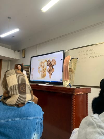 A classroom setting includes a monitor displaying anatomical illustrations of the brain. On top of the monitor sit anatomical models, including a clear brain model and a pink model. In the foreground, a person is partially visible, draped in a checkered brown blanket and wearing jeans. The room has fluorescent lights and a whiteboard covered in writing. A dark-haired person is visible, possibly looking at the monitor. A dark brown wooden dresser or shelving unit is also present.