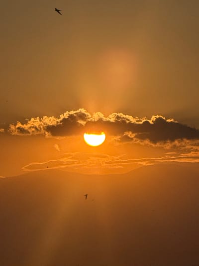 The media file depicts a sunset over Abovyan, Armenia. The sun, partially obscured by clouds, casts a warm, golden glow across the sky. The clouds are illuminated by the setting sun, creating dramatic shadows and highlights. Several birds are visible in flight, silhouetted against the bright sky. One bird is in the foreground on the left, appearing to be in mid-flight with its wings spread. Others are smaller and further in the distance. The overall atmosphere is serene and tranquil, with the warm colors and the natural elements creating a sense of peace. The time of day is clearly sunset, given the low angle of the sun and the warm, diffused light. There is no visible text in the image.