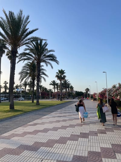 This media file depicts a scene along a paved promenade lined with palm trees and lush green grass. The sky is clear and bright blue, suggesting a sunny day. Several people are visible walking or standing on the promenade. One person is wearing a white dress and carrying a blue cooler, while another is dressed in dark clothing and carrying a green bag. A row of lampposts and flowering bushes adds to the ambiance of the setting. In the background, more palm trees and some structures, possibly shops or cafes, are visible. The time of day appears to be late afternoon or early evening, given the long shadows cast by the palm trees on the tiled walkway. The overall atmosphere seems relaxed and pleasant, indicative of a vacation or leisure setting. There is no visible text in the image.