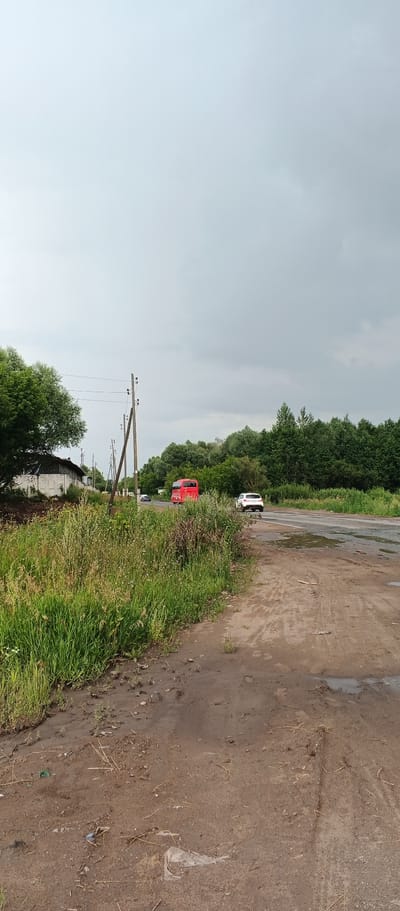 The image depicts a rural road scene in Pirogovo, Russia, under an overcast sky. On the left side of the road, a dilapidated building with a white fence is visible, partially obscured by lush green vegetation and tall grass. Several utility poles with power lines stand along the roadside. The road itself is paved and shows signs of wear, with visible puddles from recent rain.

Traffic is sparse, with a red bus and a white car moving away from the viewer on the road. A dense line of green trees forms the background, separating the road from the distant horizon. The foreground consists of a dirt path with scattered debris, including plastic waste. The overall impression is one of a slightly unkempt, utilitarian roadside environment.