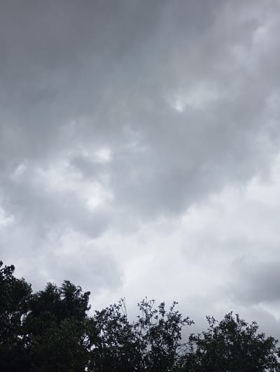 The image shows a view of a cloudy sky with the tops of trees in the foreground, taken from Krasnoarmeysk, Russia. The sky is filled with a dense layer of grey clouds, obscuring any direct sunlight and creating a somber atmosphere. The clouds are varied in texture, with some appearing lighter and more diffused, while others are darker and more solid, suggesting potential for rain.
The trees in the foreground are dark silhouettes against the lighter sky. They appear to be deciduous, with dense foliage, although the details are largely lost due to the low light conditions and the contrast with the sky. The arrangement of the trees suggests they are part of a park or a wooded area within the city. There are no people or man-made structures clearly visible in the frame, focusing the attention entirely on the natural elements of the sky and foliage. The scene is static, with no discernible action taking place.