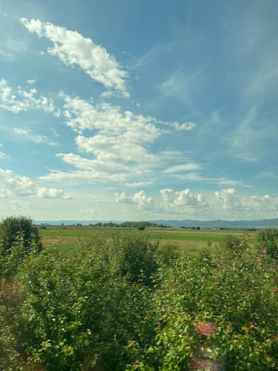 An aerial view captures a lush green landscape under a bright blue sky dotted with white cumulus clouds. In the foreground, dense bushes with vibrant green leaves and hints of red foliage dominate the scene. Beyond the bushes, a vast, open field stretches out, its green expanse punctuated by areas of darker and lighter shades of grass. In the distance, a line of trees forms a border, behind which rolling hills and mountains are visible, fading into a hazy horizon. A small airplane is visible in the sky, a tiny dark speck against the bright blue canvas. The scene is serene and natural, evoking a sense of open space and tranquility. This image was taken in the vicinity of Ravno Pole, Bulgaria.