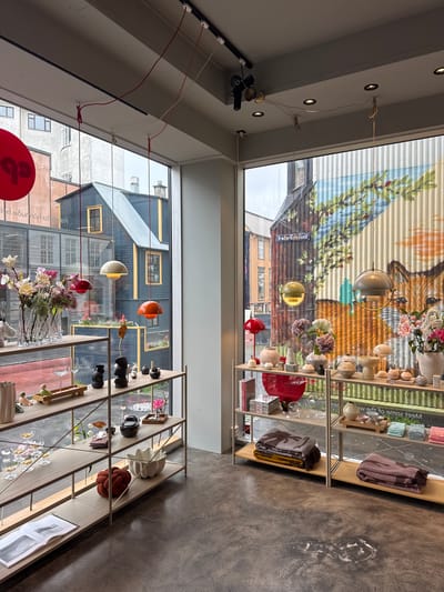 This detailed image captures the interior of a retail store, looking outwards through expansive plate-glass windows onto a street scene in Reykjavik, Iceland. The floor inside is concrete, showing some faint white marks. Along the windows, two multi-tiered shelving units constructed from light-colored wood or composite material and metal frames display various items. These include ceramic vases, decorative bowls, small sculptures, glassware, a large open book, and folded blankets in shades of brown, olive, and pink. Artificial flower arrangements in clear glass vases are prominently placed on the upper shelves near the windows.
Overhead, the ceiling features recessed spotlights and several distinctive pendant lights hanging at varying heights. These include spherical lights in red, orange, and cream, and a larger olive-green metallic pendant light. Electrical cords for these fixtures are visible, some routed along tracks or suspended.
Through the left window, a reflection of red signage with the letters "qp" (appearing reversed) is visible. Beyond this, the street features a mix of urban buildings, including a prominent dark blue wooden house with yellow window frames and a gray corrugated metal roof. Planters containing flowers are visible beneath windows on the street level.
Through the right window, a large corrugated metal wall is visible, adorned with a vibrant mural depicting a tree with green foliage, a red berry branch, and the head of a fox rendered in shades of orange and brown. A street sign reading "Tradarbrútssund" is affixed to a building facade visible to the left of the mural. The exterior appears overcast, suggesting a daytime scene. There are no people visible in the image.