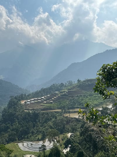 The image, when viewed in its correct landscape orientation, presents a stunning panoramic view of a mountainous agricultural landscape in Thông Nguyên Commune, Vietnam.

In the foreground, a leafy green tree branch extends from the upper right, partially framing the scene. The midground features extensive rice terraces, carved into the steep mountain slopes. These terraces are a prominent element, appearing as a series of light-colored, water-filled steps reflecting the sky, interspersed with dark green, forested areas. Some terraces are distinctly curved, showcasing traditional farming patterns. The mountains themselves are heavily covered in lush, dense greenery, indicating a rich forest ecosystem.

Towards the left and in the background, multiple layers of mountains recede into the distance, appearing increasingly hazy and blue, characteristic of atmospheric perspective in vast landscapes. The sky, visible in the upper left, is bright with a mix of clear blue patches and large, fluffy white cumulus clouds, suggesting a clear and sunny daytime.

No people or specific activities are directly visible, though the presence of the cultivated rice terraces strongly implies ongoing agricultural work. The overall impression is one of a serene and majestic natural environment shaped by human labor. There is no visible text in the image.