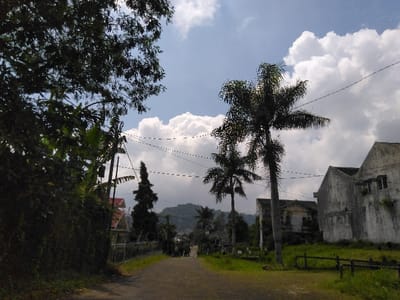 This image depicts a residential street scene in Nathene, Laos, under a partly cloudy sky. A narrow, downward-sloping paved road occupies the central foreground, curving slightly to the right in the distance.
On the left side of the road, dense green foliage, including large-leafed plants and tree canopies, forms a verdant wall. A white fence is partially visible behind this vegetation further down the road, with a house featuring a reddish-orange roof visible beyond it.
On the right side of the road, two tall palm trees with visible trunks stand prominently. Beyond them, two multi-story, neglected or abandoned buildings with weathered grey facades and gabled roofs are visible. The ground immediately to the right of the road is covered in green grass and some weeds. A low, dark-colored horizontal barrier or railing is present in the extreme right foreground.
Utility lines, dark and thin, stretch horizontally across the middle and upper middle sections of the frame, connecting unseen poles. In the distant background, vegetated hills or mountains are visible beneath a sky featuring bright blue patches interspersed with large white cumulus clouds. No people, animals, or vehicles are present in the scene.