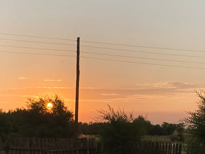 An outdoor, horizontal, medium shot captures a sunset over a rural landscape. The sun, a bright orange orb, is partially obscured by the foliage of a dark green tree in the foreground, casting a warm glow on the surrounding sky. The sky is a gradient of soft oranges and pale yellows, with scattered wispy clouds. A single, thin wooden utility pole stands vertically to the right of the sun, supporting four horizontal power lines that stretch across the frame. Below the tree line, a weathered wooden fence runs horizontally across the lower portion of the image, delineating the foreground from a darker, more densely wooded area in the middle ground. The distant background is a hazy expanse of muted green and brown, suggesting further undeveloped land. No people or animals are visible in the frame. The overall impression is one of a peaceful, twilight scene in the village of Rakity, Russia.