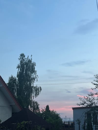 The image depicts an outdoor scene in Ożarów Mazowiecki, Poland, likely during twilight. The sky is a pale blue with wispy clouds, transitioning to soft pink and orange hues near the horizon. In the foreground, a portion of a white house with a red-tiled roof is visible on the left. Adjacent to it, a dark, pyramid-shaped structure with a shingled roof is present. Dominating the midground is a tall, slender tree with feathery, drooping branches. Several power lines stretch horizontally across the frame above the trees. Further back, other trees and structures, including what appears to be industrial scaffolding in the distance, can be seen. The overall impression is one of a residential or semi-rural area at dusk.