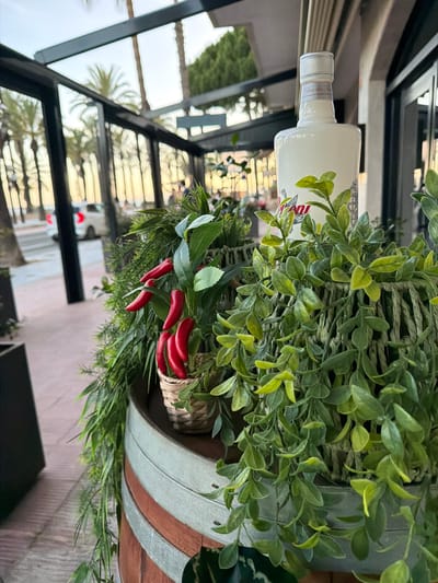 The image depicts a close-up of decorative plants and a bottle of alcohol placed on a wooden barrel. The plants are artificial, with green foliage and red chili peppers. The bottle is white with a silver cap and has a label with some text that is partially visible. In the background, a street scene is visible, with palm trees lining the sidewalk and a white car in the distance. The overall impression is that of an outdoor seating area at a restaurant or bar. The lighting suggests it is either dawn or dusk. The environment appears to be a Mediterranean coastal city, likely Salou, Spain, given the presence of palm trees and the general aesthetic.