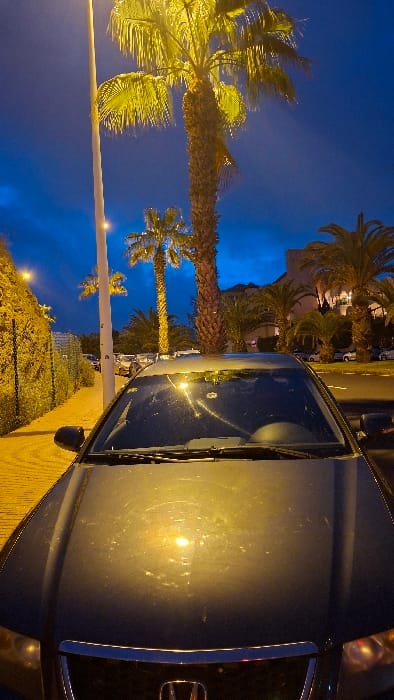 The image captures a nighttime street scene in Costa Adeje-playas Del Duque, Spain. A dark-colored Honda sedan occupies the foreground, positioned with its front facing the viewer. The vehicle's hood is visible, displaying a layer of dust and multiple circular smudges, strongly reflecting the yellow-orange light from an adjacent streetlamp. The windshield is also dusty and smudged, offering a vague view of the car's interior.
To the left of the Honda, a light-colored paved pedestrian path or sidewalk runs parallel to a steep, vegetated embankment. A tall, white streetlamp stands centrally on this path, providing significant illumination to the immediate foreground.
In the midground, beyond the Honda, a street is visible, populated with numerous parked vehicles of various types, their details obscured by distance and low light. The environment is characterized by several tall palm trees with visible trunks and fronds, their foliage brightly illuminated by ambient streetlighting. One particularly tall palm stands directly behind the prominent streetlamp.
The background features large, multi-story buildings, likely residential or hotel structures, with several illuminated windows. The sky overhead is a dark blue, indicative of twilight or night conditions. No individuals are present, and no actions or interactions are depicted within the scene.