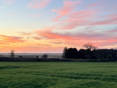 The image captures a serene rural landscape. A lush green field dominates the foreground, with rows indicating cultivated crops. Behind the field, a line of bushes and trees forms a mid-ground barrier, separating the field from what appears to be a body of water in the distance. The sky is filled with clouds, exhibiting a vibrant array of colors from pale blue to yellow and pink, indicative of sunrise or sunset. In the top left corner, a faint contrail suggests the passage of an aircraft. The location is Gorleston-on-Sea, United Kingdom.