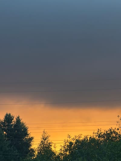 The image captures a twilight scene over Petukhi, Russia. The sky transitions from a deep, dusky blue at the top to a vibrant orange and yellow hue towards the horizon, suggesting the sun has recently set or is about to rise. Several thin, dark lines, likely power lines, are stretched horizontally across the middle ground. The foreground is dominated by a dense line of dark green trees and bushes, silhouetted against the brightly lit sky. No people or specific landmarks are visible in this general landscape shot.