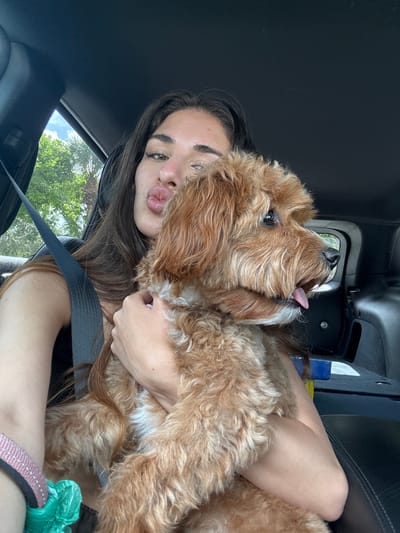A light-skinned woman with long brown hair is in a car, wearing a seatbelt and holding a golden doodle dog. The dog is leaning its head back, its tongue slightly out. The scene appears to be in Delray Beach, United States of America, as suggested by the presence of trees outside the car window.