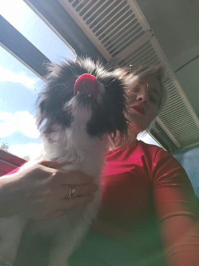 In this medium shot, a person is holding a small, fluffy dog in front of a window. The dog, with black and white fur, is sticking its tongue out. The person, who appears to be a woman with blonde hair and red lipstick, is wearing a red shirt. She has a ring on her left hand. The scene is illuminated by natural light coming through the window, suggesting it is daytime. Outside the window, a bright blue sky with scattered clouds is visible. Above the window, there is a white ventilation grate. The background appears to be the interior of a vehicle, possibly a train, indicated by the blue seating visible to the right. The overall mood is casual and playful, with the dog's extended tongue adding a touch of humor.
