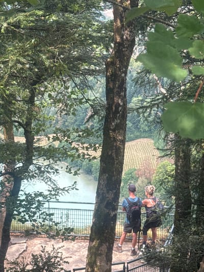 The image captures a scenic view from a forest overlooking a body of water and a cultivated field. Two individuals, a man and a woman, are standing on a ledge facing the landscape. The man, wearing a blue t-shirt, dark shorts, a cap, and a backpack, stands to the left. The woman, in a black tank top, dark shorts, and a backpack, is positioned to his right, and she is wearing a white headband. They are both looking out at the view, with the woman's arm resting on a railing.
The foreground is dominated by trees with rough bark and green foliage, obscuring parts of the view. A metal railing runs along the edge of the ledge where the people are standing. Behind them, a tranquil body of light blue water is visible, bordered by a green fence. Further in the background, a vast expanse of trees covers rolling hills, with a distinct pattern of rows in a cultivated field adding texture to the landscape. The overall impression is one of a peaceful, natural setting with human presence. The specific location is believed to be La Chaux-du-Dombief, France, likely a viewpoint offering panoramic vistas of the surrounding countryside.