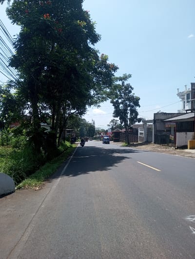 The image depicts a daytime view of a paved two-lane road in Beteng_Pangkhar_Somthrang, Bhutan, under a clear blue sky with minimal cloud cover. The road extends from the foreground into the distance, marked by a single broken yellow line down its center and a solid white line on the left shoulder. On the left side of the road, a dirt and grassy verge is bordered by a continuous line of dense green trees, some bearing orange blossoms. Overhead, multiple power lines are visible against the sky, originating from the left. Strong sunlight casts dark shadows from the trees onto the left side of the road.
On the right side of the road, various structures are visible, including a multi-story white building with decorative roof features in the mid-ground and a single-story commercial building with a dark roof and a partially visible red-on-white sign closer to the foreground. Further down the road on the right, other buildings and a small kiosk-like structure are present.
Vehicular traffic is observed moving away from the viewer. A dark-colored motorcycle with a visible rider is traveling in the left lane, while a light blue truck or van is traveling in the right lane. Additional vehicles are faintly discernible further down the road in the distance. No pedestrians are visible.