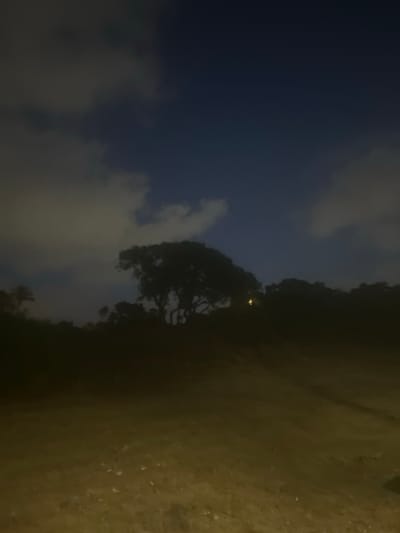 The image depicts a nighttime outdoor scene with a dark, silhouetted landscape. In the middle ground, a large tree with a spreading canopy is visible against a deep blue sky with scattered, illuminated clouds. The terrain in the foreground is dark and appears to be uneven, possibly covered with vegetation or dirt. There is a faint yellow light source visible near the base of the tree, possibly a distant streetlamp or a light from a building. The overall impression is one of a rural or semi-rural area at night.
