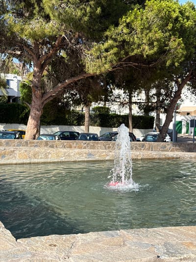 The image captures a section of a fountain with clear, greenish water and a jet of water spraying upwards. To the left of the fountain, a large, mature pine tree with textured bark and green needles dominates the foreground. Behind the tree, a line of parked cars is visible, some with their doors open, suggesting a casual or accessible area. Beyond the cars, there are buildings with white walls and some green shutters, indicative of a Mediterranean architectural style. The scene appears to be outdoors, with sunlight casting shadows and highlighting the textures of the stone fountain edge and the tree's foliage. The presence of cars and buildings suggests an urban or semi-urban setting. The water in the fountain is clear and appears to be a light green color, with ripples and splashes from the jet adding a dynamic element. The overall impression is a sunny day in a warm climate, possibly a public space where people might gather or pass through, given the presence of parked vehicles and the fountain as a decorative feature. The focus is on the natural elements of the tree and water, contrasted with the man-made environment of the cars and buildings.